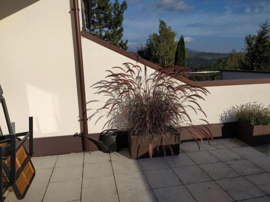 Apratman Julie - Bavorska Ruda Lägenhet Bayerisch Eisenstein Exteriör bild